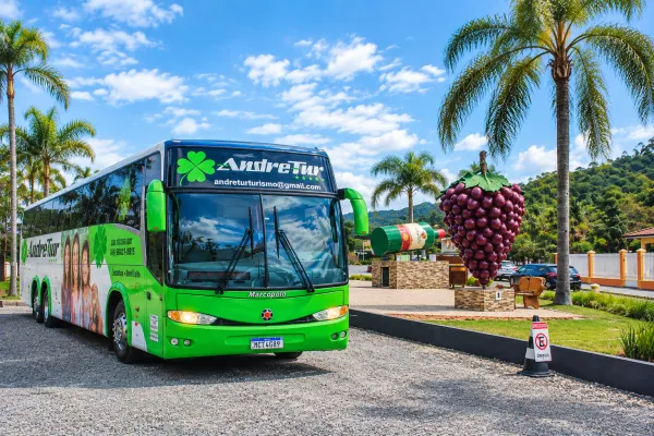 Ônibus executivo 42 lugares semi leito: conforto para o seu grupo
